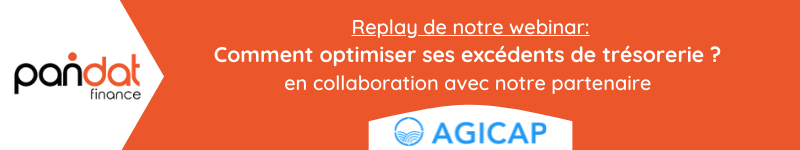 Replay de notre webinar: comment optimiser ses excédents de trésorerie